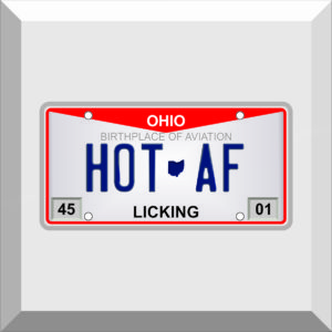 Bumper Sticker – License Plate – HOT