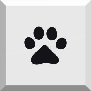 Car Window Sticker / Decal – Paw Prints