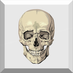 Car Window Sticker / Decal – Skull