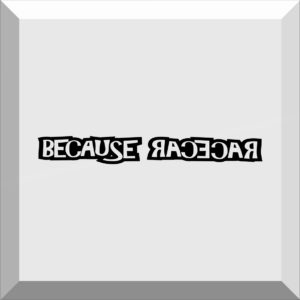 Car Windshield Banner Sticker / Decal – BECAUSE RACECAR