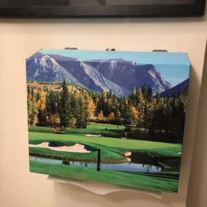 Custom Wrapped Paper Towel Dispenser