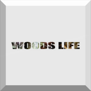 Car Windshield Banner Sticker / Decal – WOODS LIFE