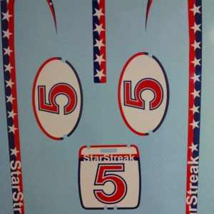 JC Penney (Huffy) StarStreak Star Streak Bicycle Decals